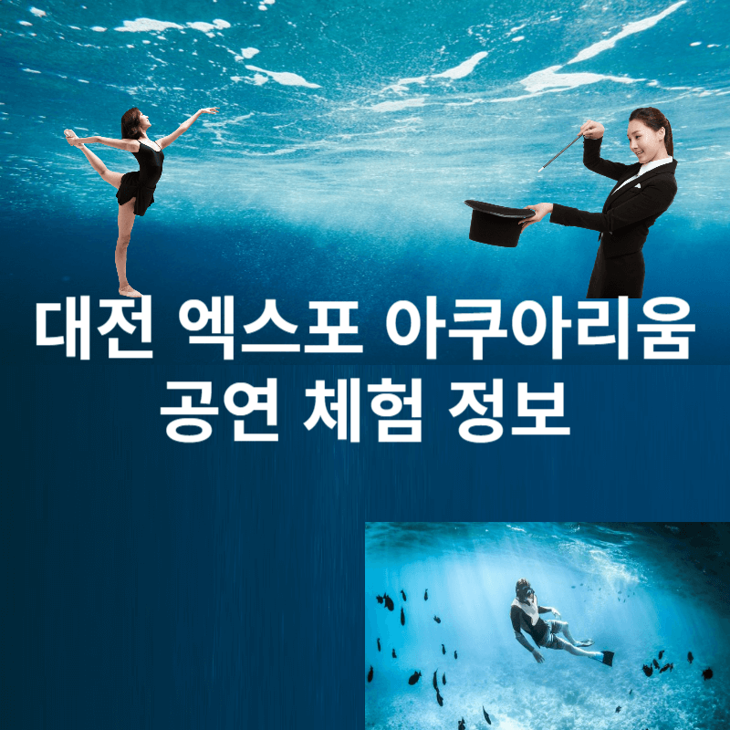 대전 신세계 엑스포 아쿠아리움 공연 체험 정보