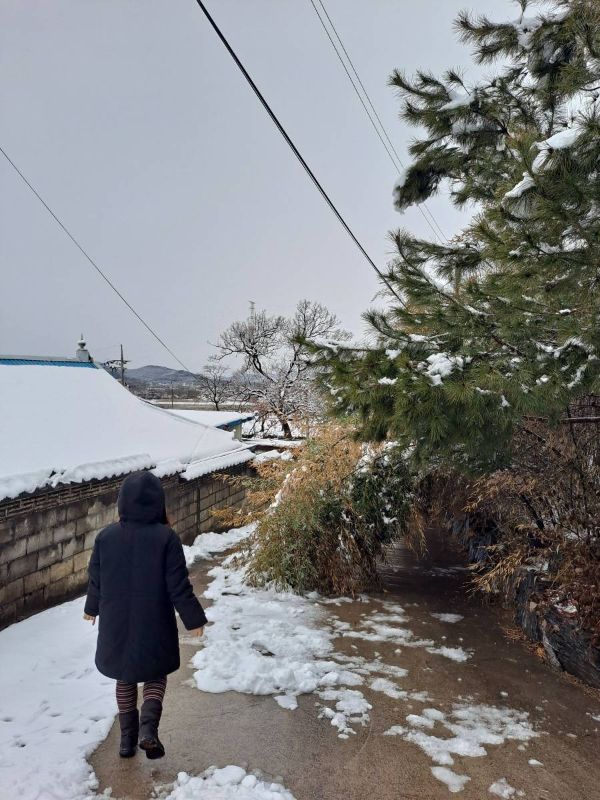 광성보 주차장 가는길