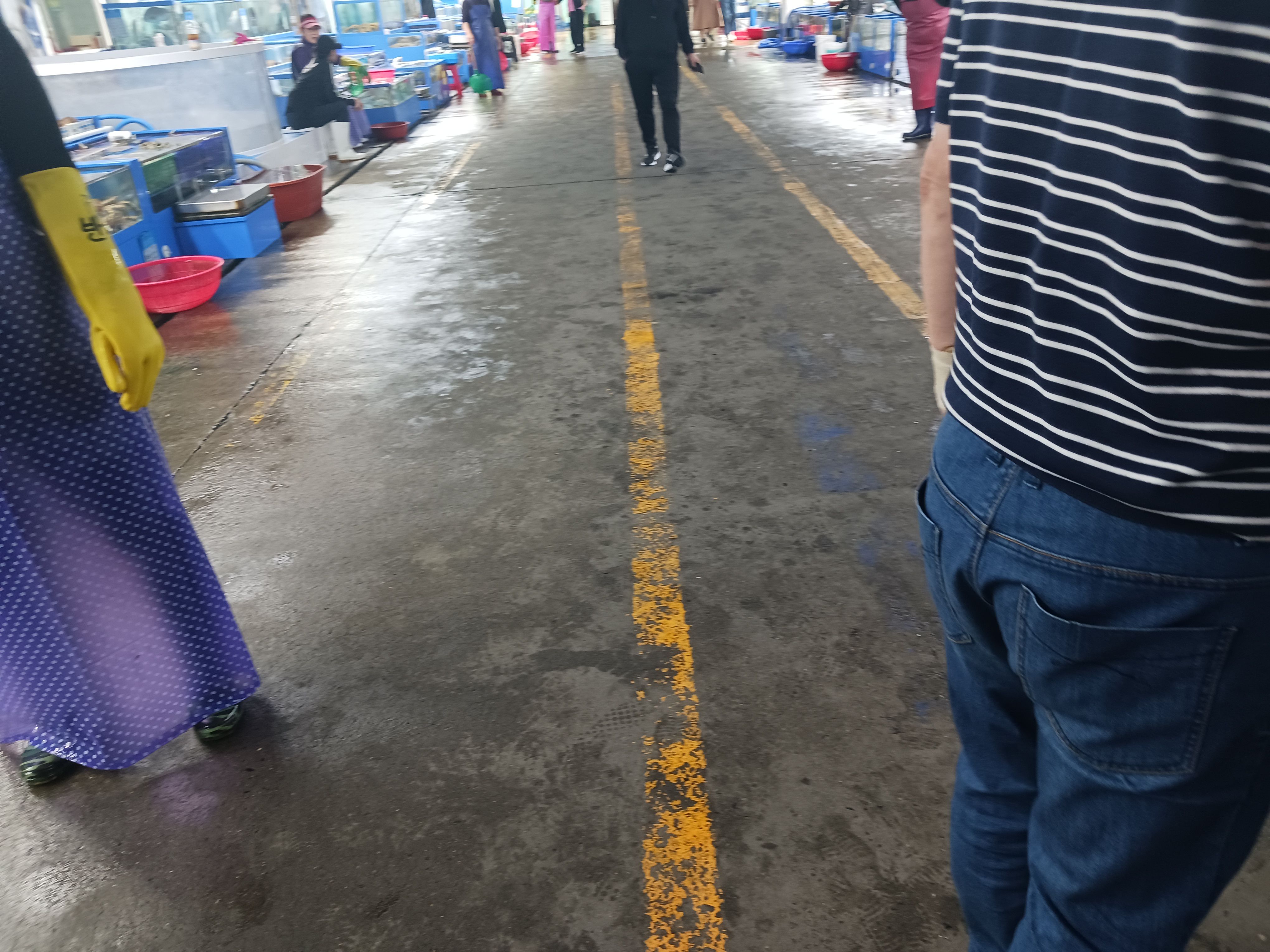 대천항수산시장