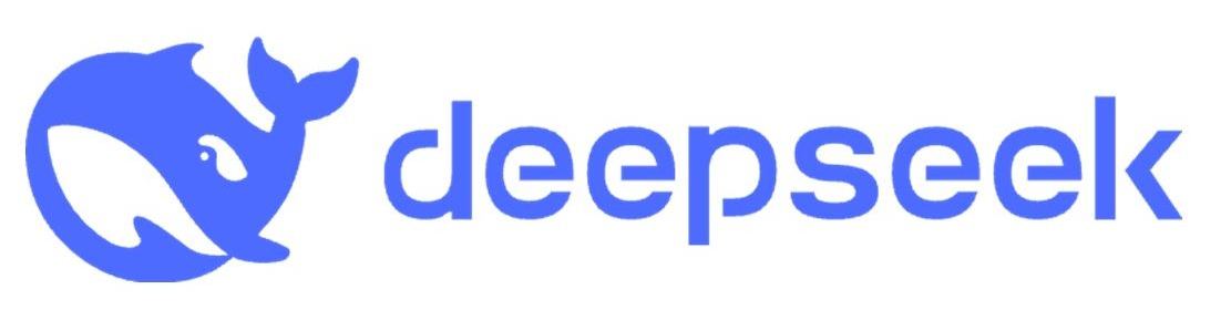 중국 AI 기업 딥시크