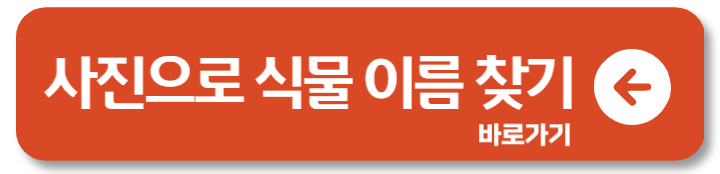 사진으로 네이버 식물이름 찾기 어플