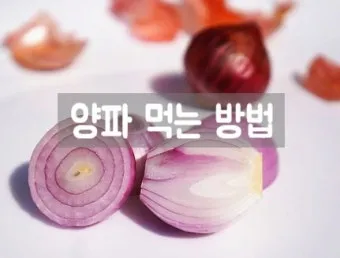 양파 먹는 방법과 양파 효능 양파 부작용 완전 가이드_21