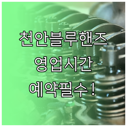 성정동 백석동 두정동 현대자동차 블루..