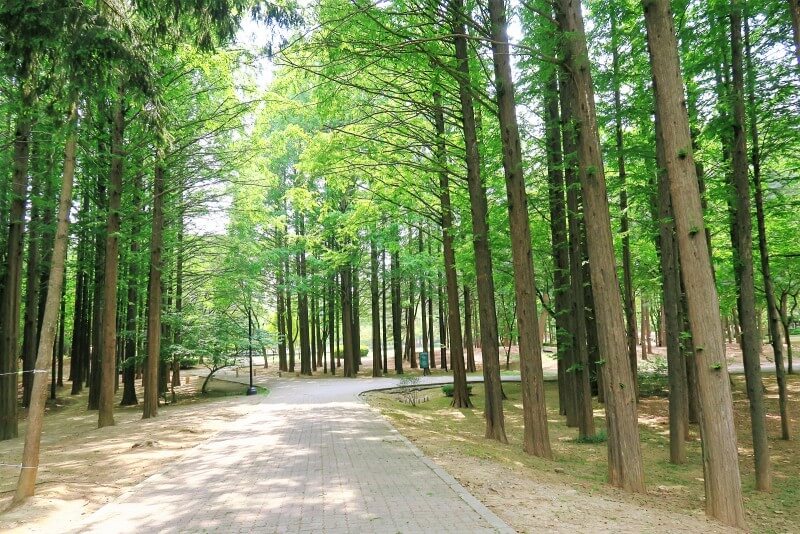 정영선 조경가 작품 7. 서초문화예술공원