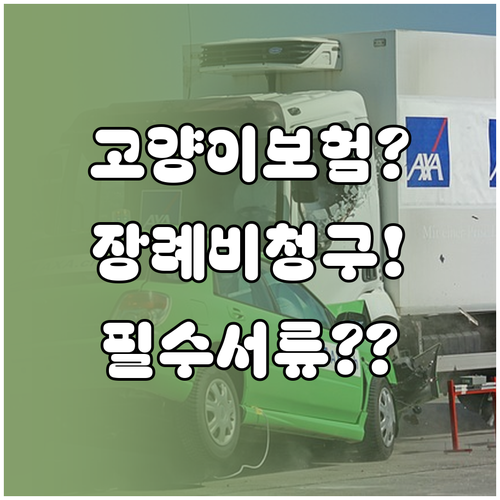 고양이 장례비 보험 청구 방법과 필요..
