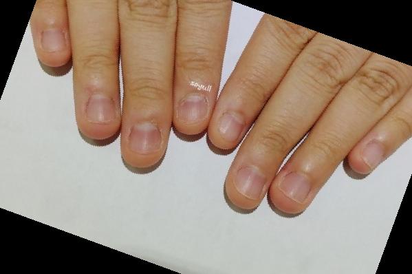 손톱 바디 기르기