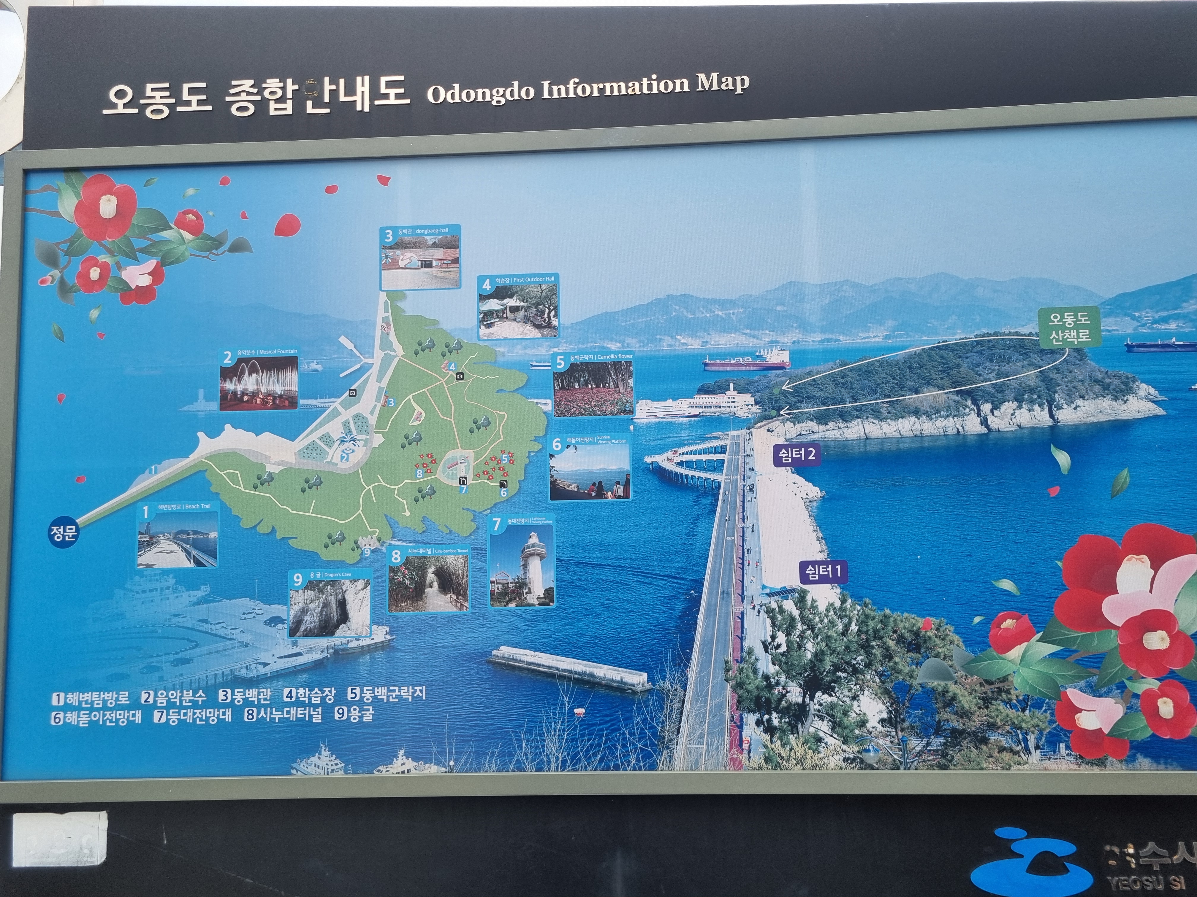 여수 오동도