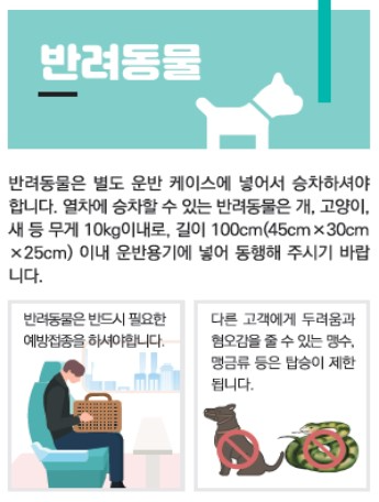 ktx반려동물