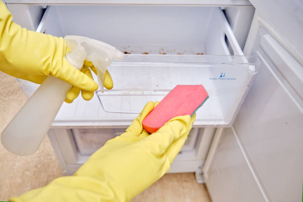 냉장고 선반 분리 세척법