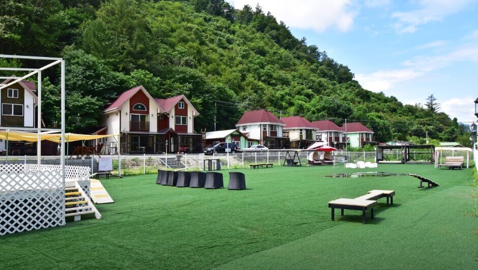 펫 아일랜드 펜션