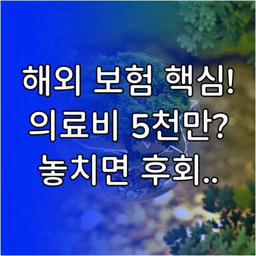 해외여행자보험 해외 의료비 5천만원 ..