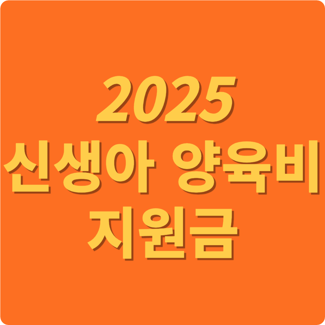 2025 신생아 양육비 지원금