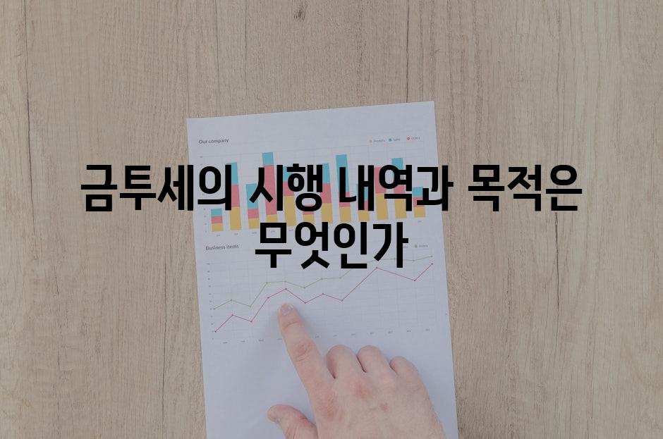 금투세의 시행 내역과 목적은 무엇인가