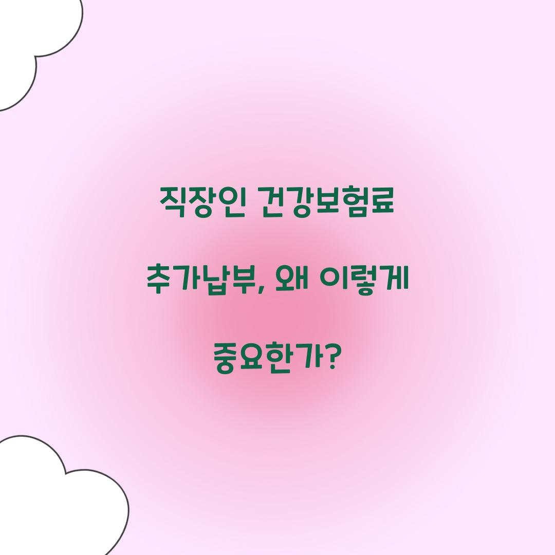 직장인 건강보험료 추가납부
