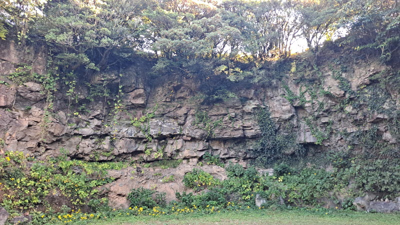 제주여행_성읍녹차마을