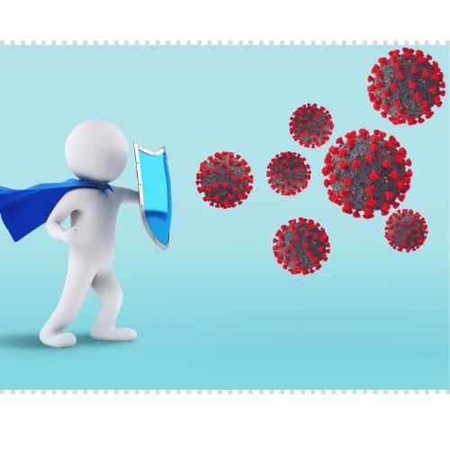 면역력 높이는 방법 강화 음식