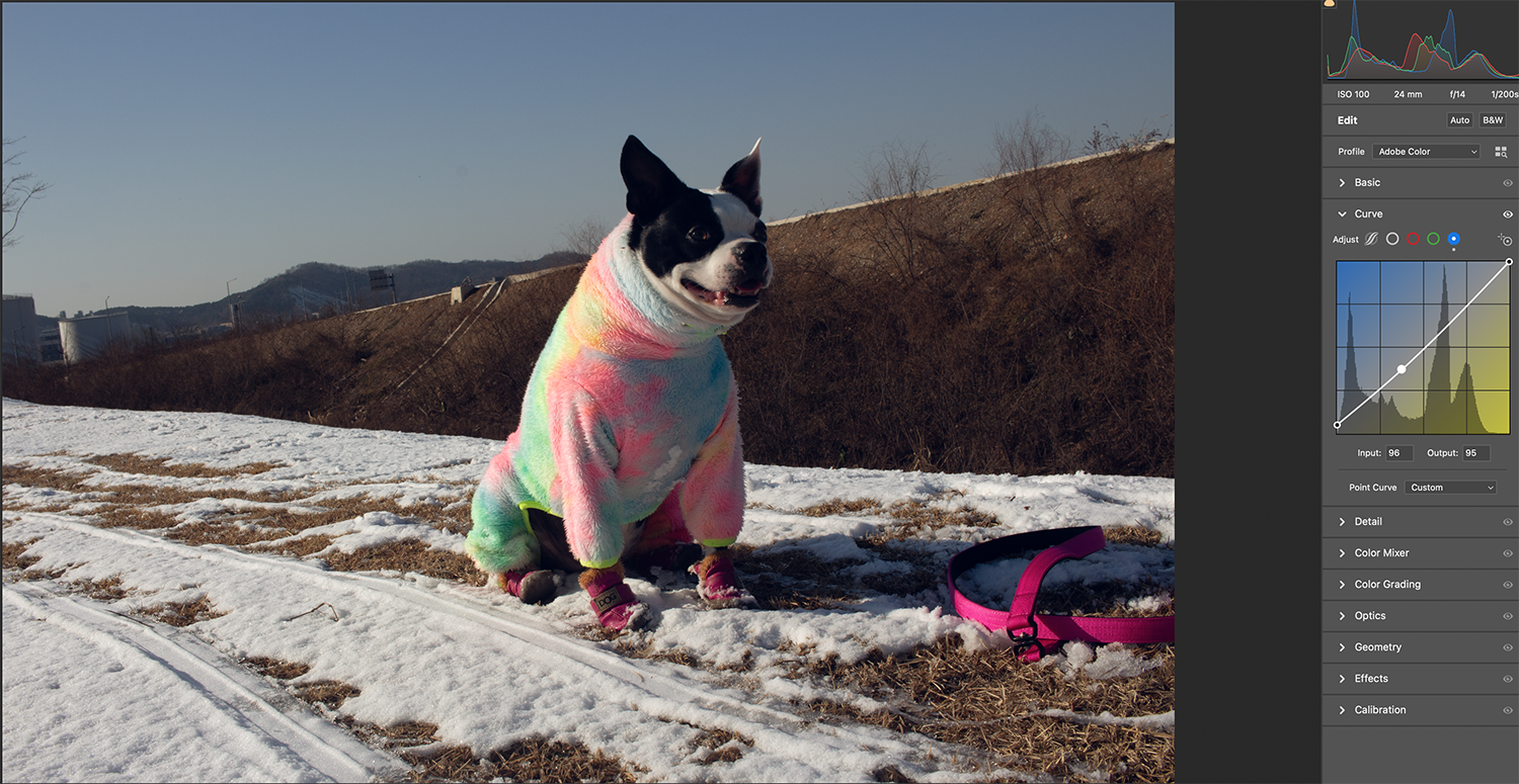 RAW파일 커브보정