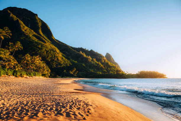 하와이 여행 경비 총정리 비행기부터 숙소, 물가까지 현실 예산
