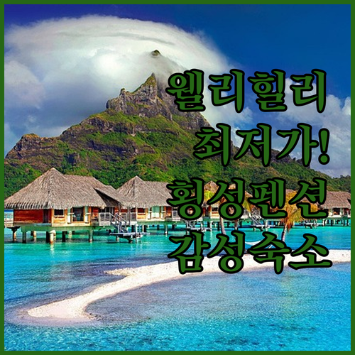 웰리힐리 파크 리조트 최저가 예약 정..