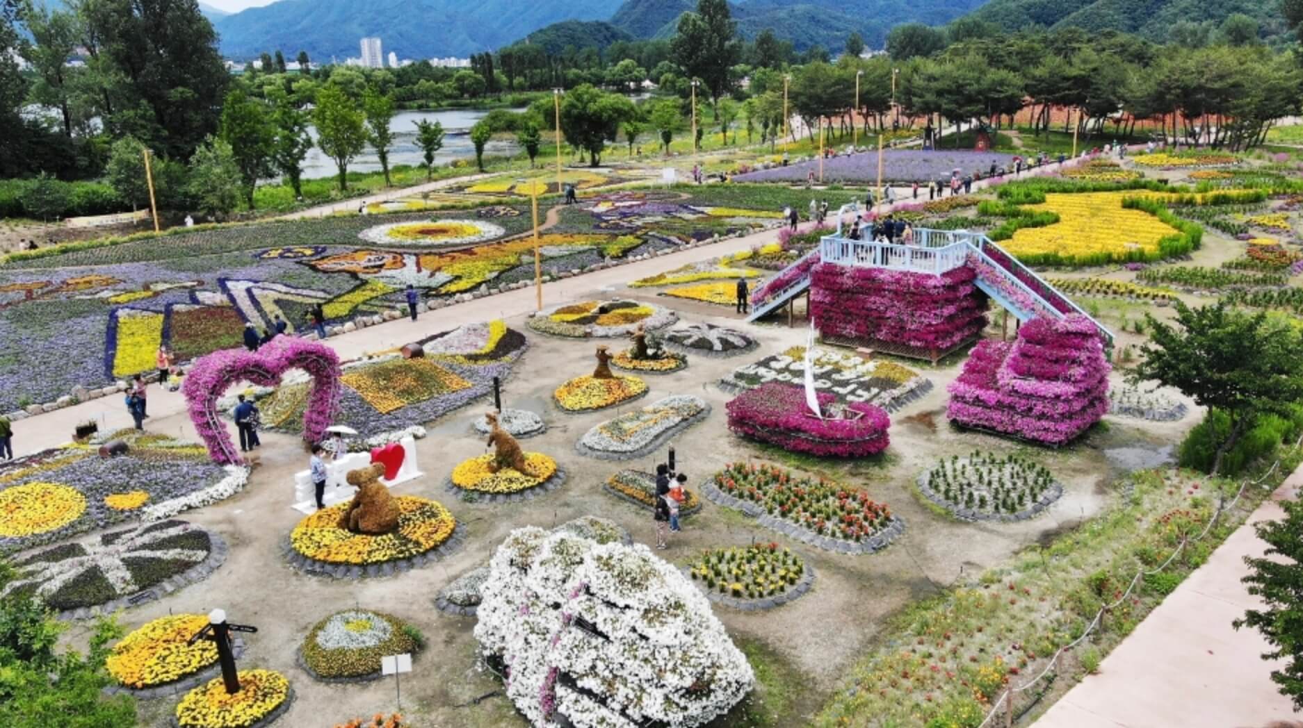 가평-자라섬-꽃-페스타-사진-1