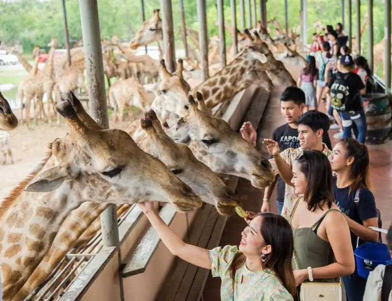 방콕 사파리월드