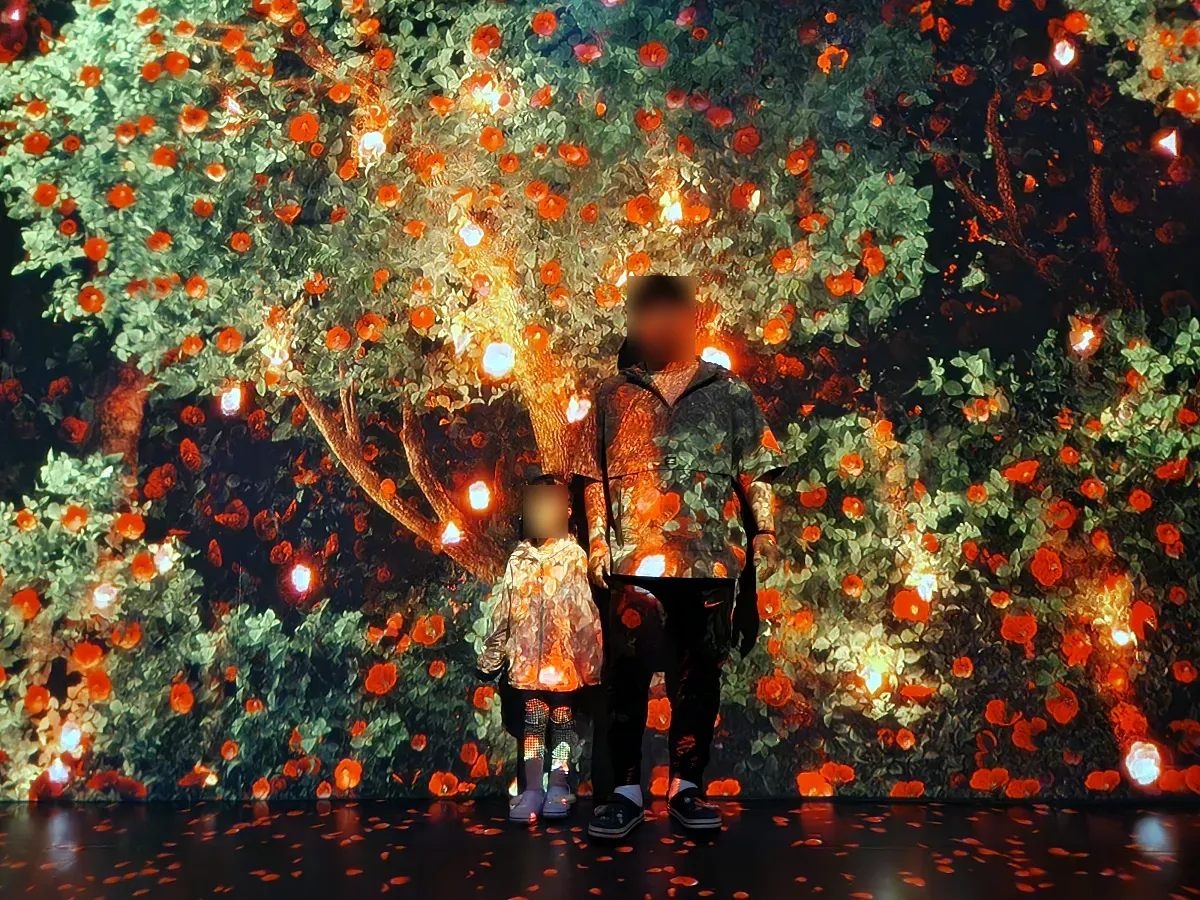 강릉-아르떼뮤지엄-숲속-배경-사진