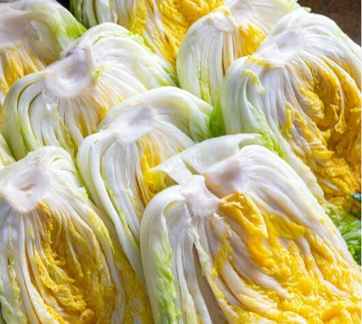 먹음직스러운 절임배추