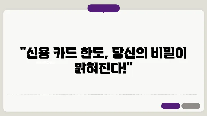 신용 카드 신청 한도