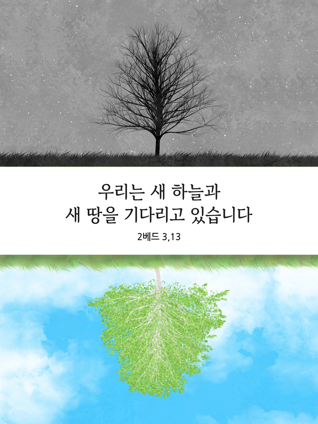 우리는 새 하늘과 새 땅을 기다리고 있습니다. (2 베드 3,13)