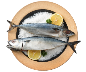 지방간에좋은음식-등푸른생선