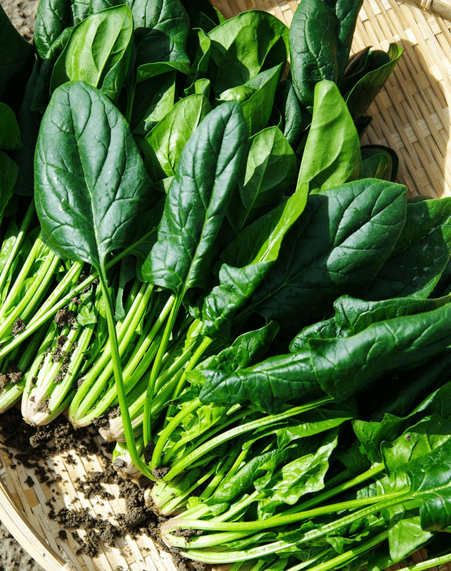 키 크는 음식들 사진 - 13