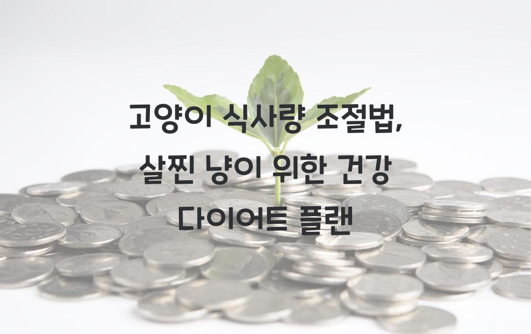 고양이 식사량 조절법, 살찐 냥이 위한 플랜