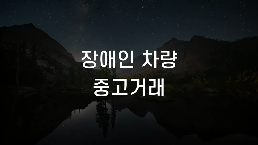 장애인 차량 중고거래