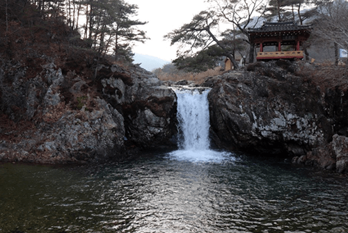 장각동코스