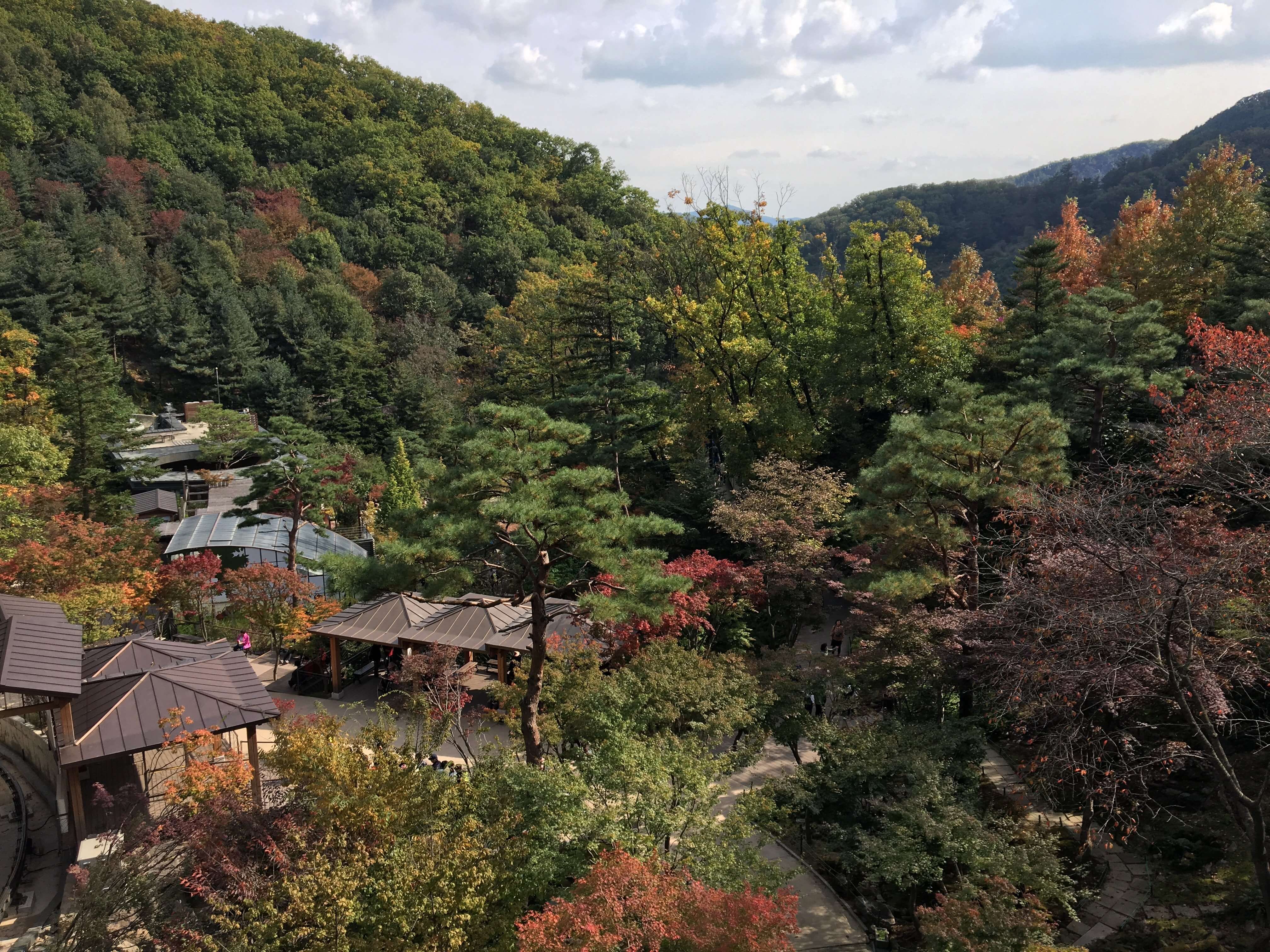 가을 단풍이 물든 화담숲 정원과 산책로 전경
