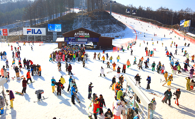 하이원 리조트 리프트권