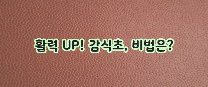 감식초 효능과 간편 레시피