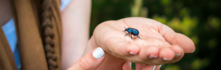 외국인 공매도 대응 전략