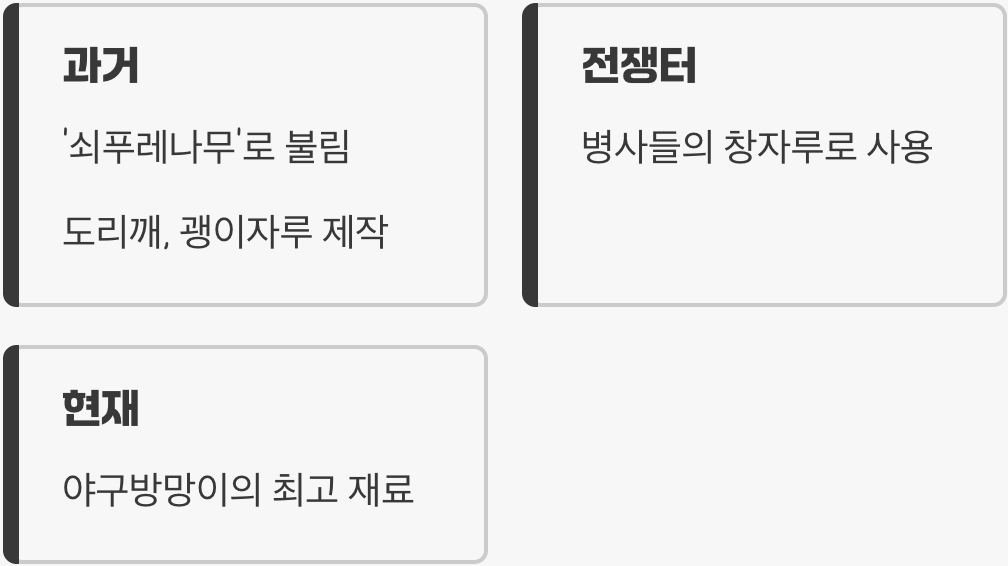쇠붙이보다 강한 나무