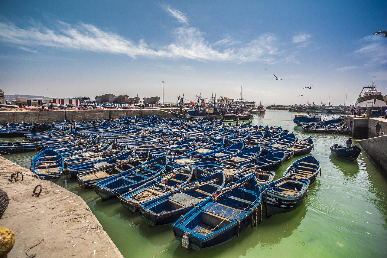모로코 에사우이라(Essaouira)