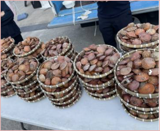 부산-통영수산식품대전