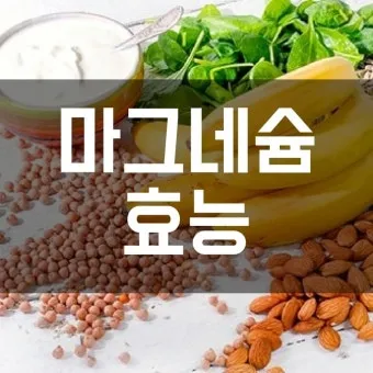 마그네슘 효능 으로_10