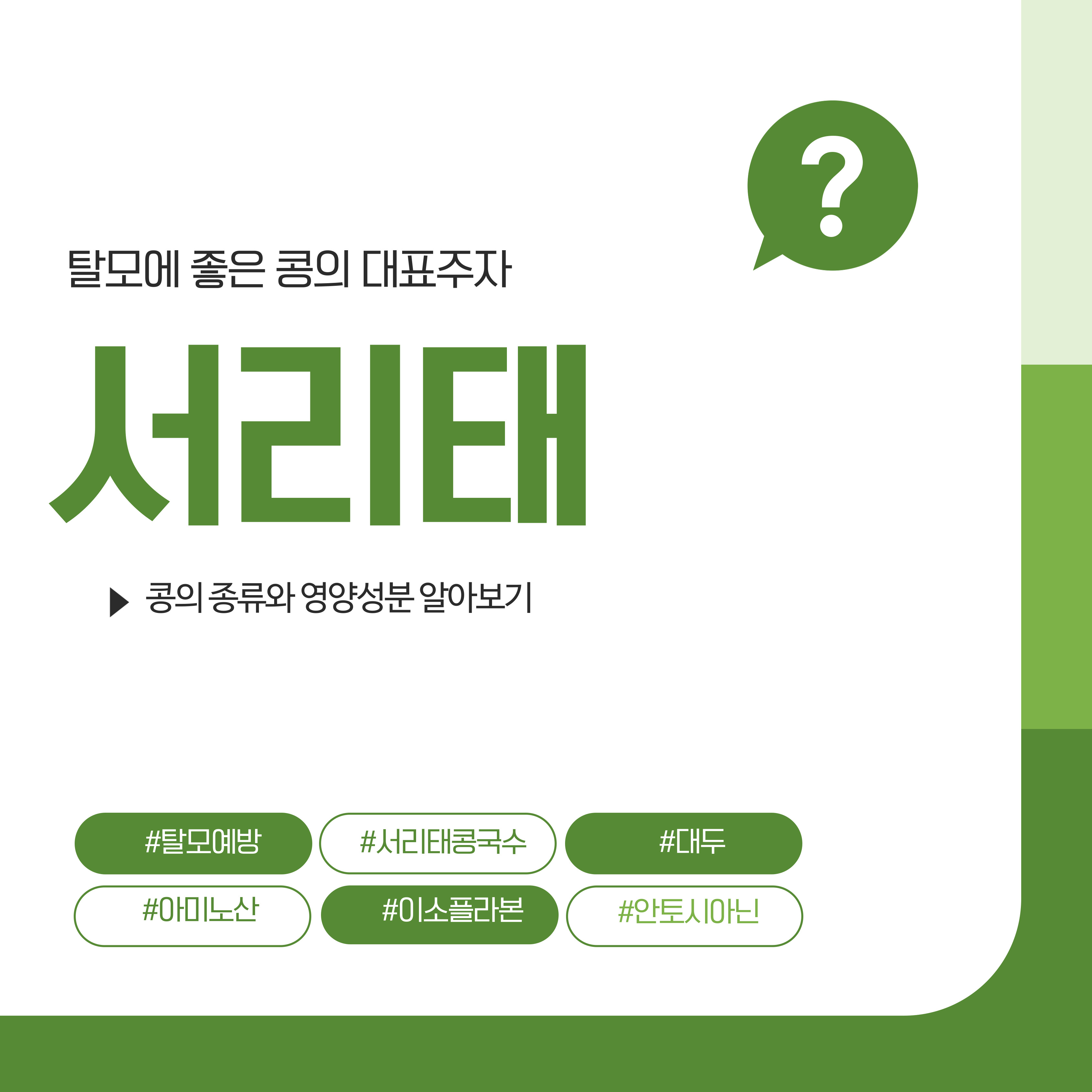 콩, 서리태, 콩국수만들기
