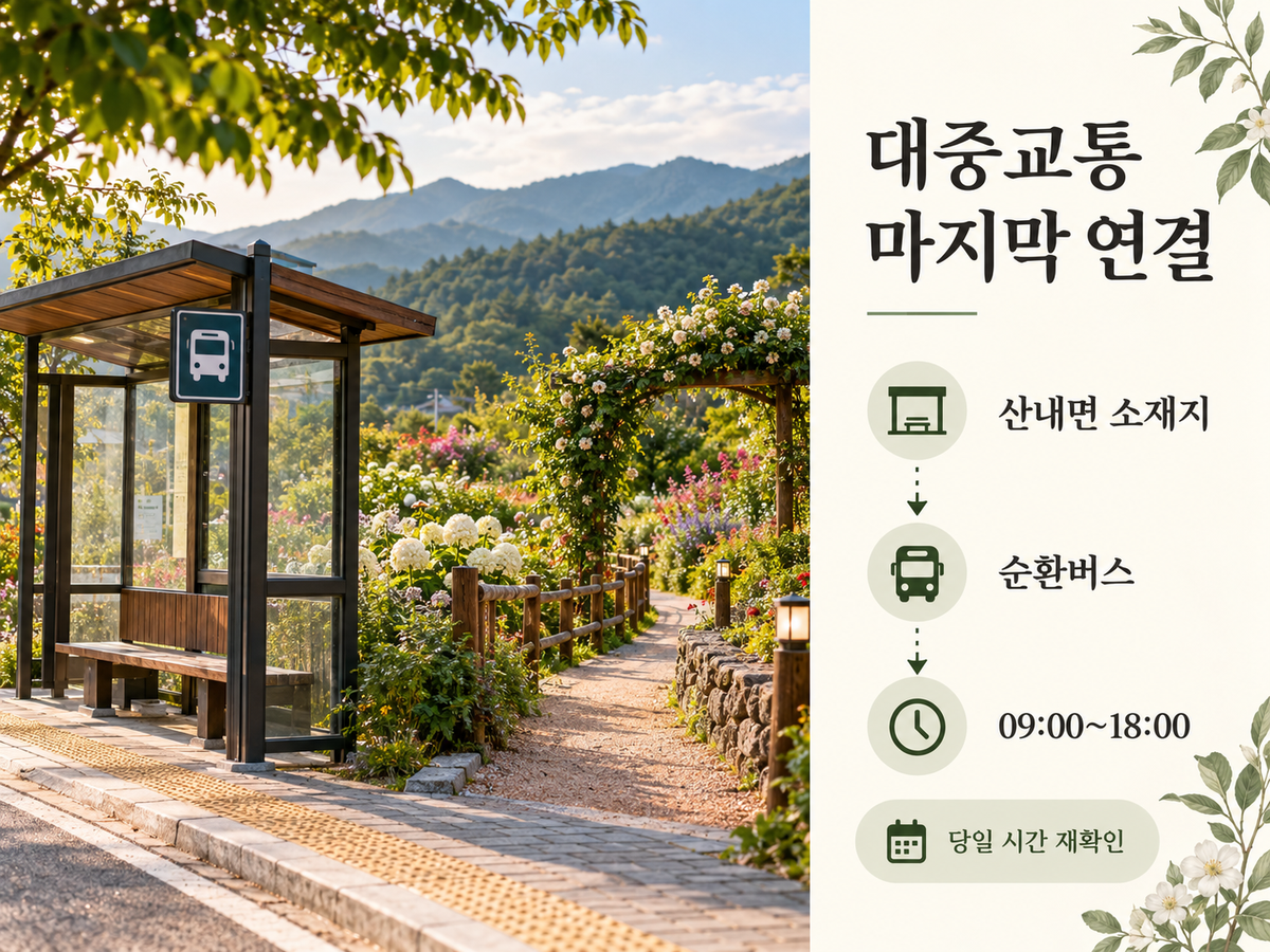 정읍 구절초축제 대중교통 방문 시 산내면 소재지에서 순환버스로 연결하고 운행 시간을 재확인하는 흐름을 설명한 이미지
