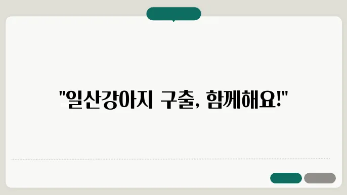 일산강아지보호소 컴투펫위탁보호센터