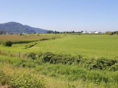 농지연금 가입조건 수령액 계산 총정리