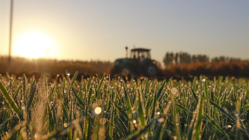 계절의 변화를 세분화한 24 절기 중 '한로' 이해하기