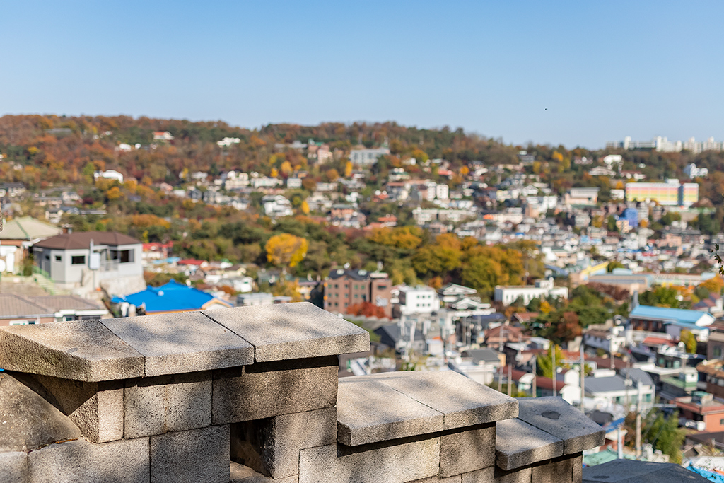 혜화문
성북동
한양도성길
백악구간
서울여행
서울단풍
가을단풍
단풍
성벽
와룡공원