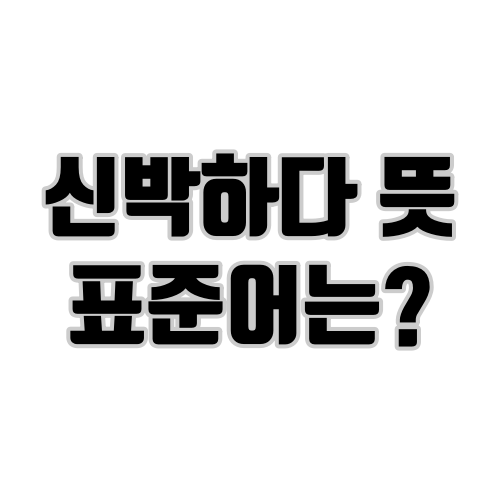 신박하다 뜻 표준어는?
