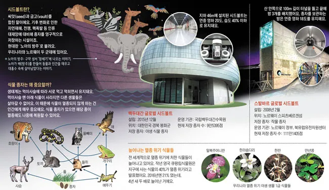 씨앗 저장법 건조 저온 밀봉 발아율 유지 교체 주기_8